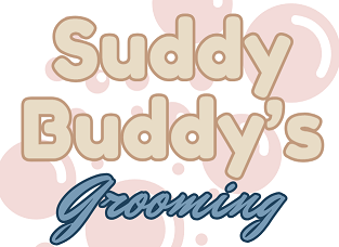Suddy Buddy's Grooming